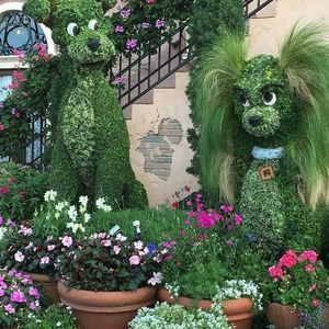 Meet your Posher, Roka